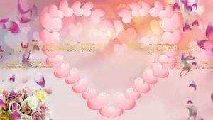 Свадебный футаж 26.  надпись   "Конец"