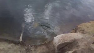 Забавная воронка в реке