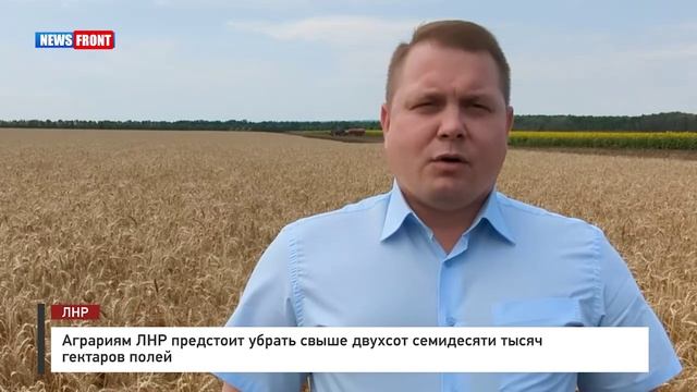 Аграриям ЛНР предстоит убрать свыше двухсот семидесяти тысяч гектаров полей