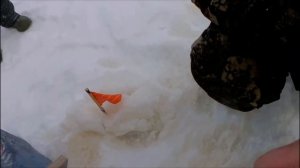 Рыбалка в глухозимье!  Кондинский район - февраль 2018. Щука, окунь.