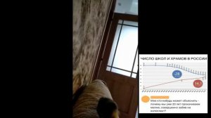 Когда оставил попугая бабушке на день