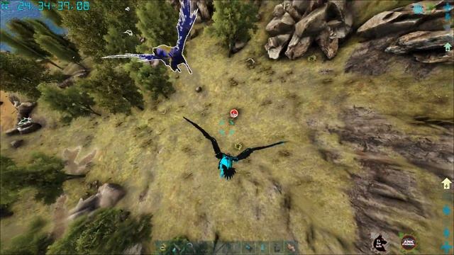 =9 Арк с модом Eternal. Топовая Виверна. смотреть онлайн