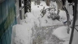 Уборка снега лопатой на колесе