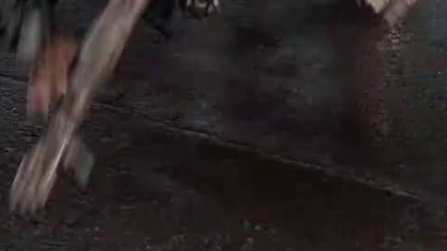 Я РОБОТ ( погоня за роботом) смотреть онлайн