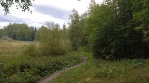 #032 #Мормышинг  Плотва - поймай если можешь