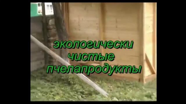 Чертеж лечебного домика с пчелами смотреть онлайн