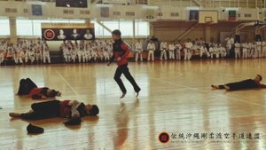 Российская Мульти-Гашшуку Окинава Годзю Рю каратэ-до 2024.  Показательные выступления участников.