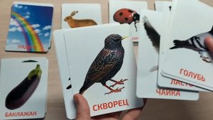 Развивающие карточки Домана/ от 6 мес до 6 лет/Обзор развивающих карточек