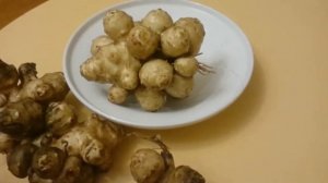 Топинамбур распирает. Topinambur