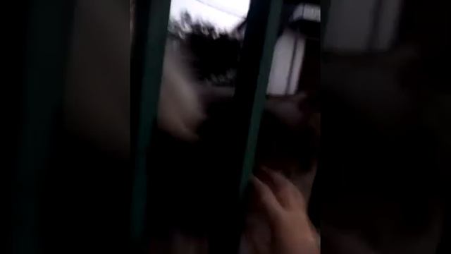 BLOG прошли пол села смотреть онлайн