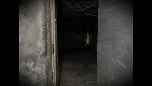 Истории на ночь-Крик в подвале