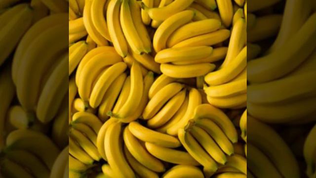 Апельсиновый рай смотреть онлайн