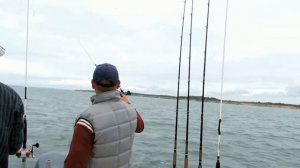 Большой троллинг. Ловим кумжу в море.