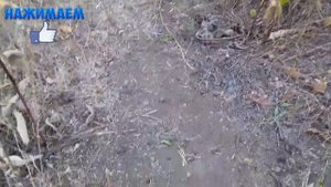 ✔️КАК И ГДЕ ИСКАТЬ ЗАЙЦА НА ОХОТЕ Мои наблюдения. Охота 2020