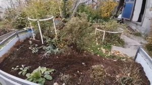 Подготовка цветников к зиме