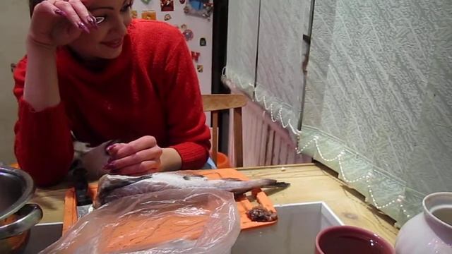 кот и собака помогают готовить смотреть онлайн