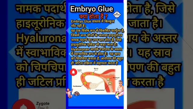 Embryo implantation.Embryo glue. Embryo transfer video. Ivf me embryo. ivf pregnancy video. ivf bab