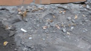 Укладка тротуарной плитки во дворе 1 этап.