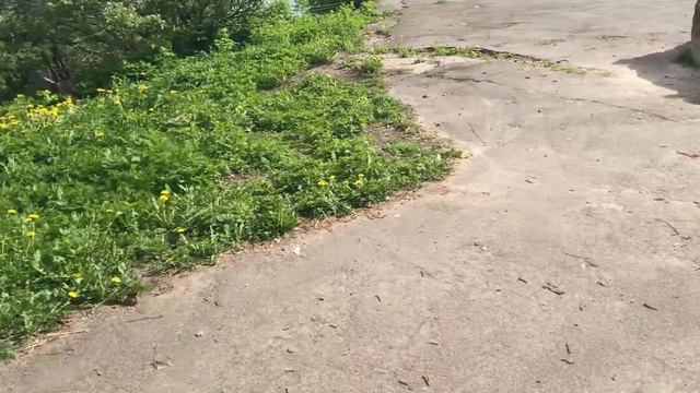 Великий Новгород. Каким был город.