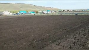 Посадка картофеля мотоблоком "Нева"