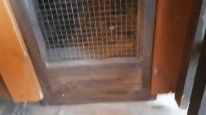 ПРАВИЛЬНАЯ добавка в корм несушкам. ПРАВИЛЬНЫЙ вход в гнездо. Улучшаем курятник. Меняем распорядок.