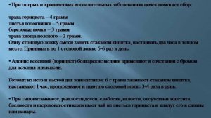 Горицвет весенний Народные рецепты