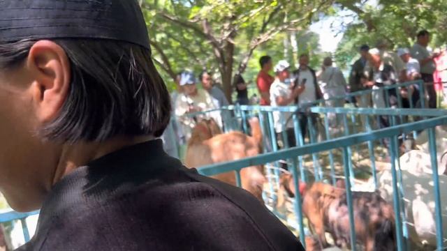 Асыл тукум эчкилердин ярмаркасы. Выставканын астынан