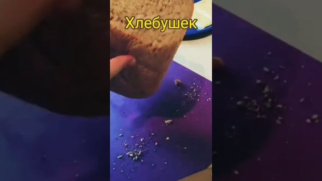 #shorts\Пробная версия хлеба в хлебопечке на закваске смотреть онлайн