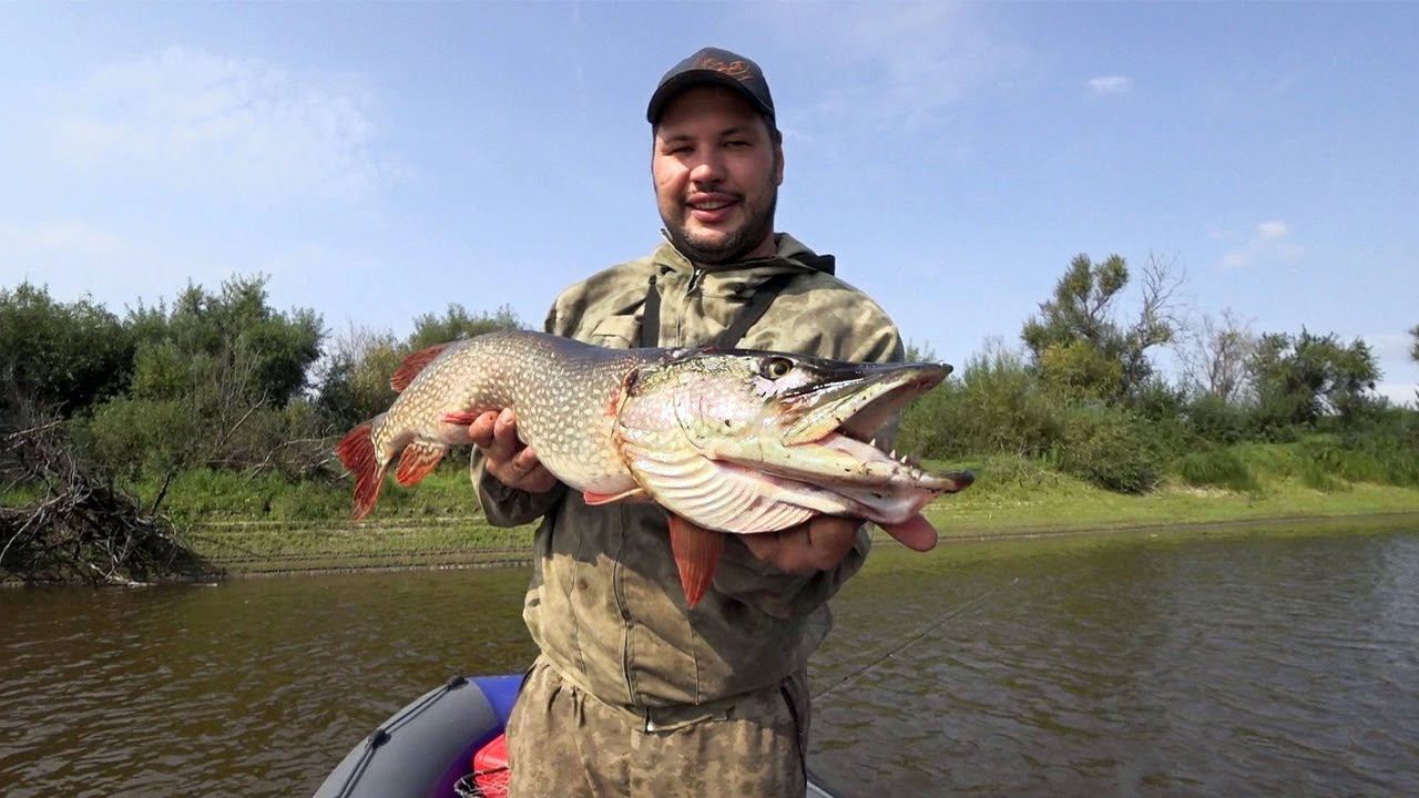 ТРОФЕЙНАЯ ЩУКА!!! ТАКОЙ ПОКЛЕВКИ Я НЕ ОЖИДАЛ. ЩУКА НА СПИННИНГ. ЩУКА НА ДЖИГ. смотреть онлайн