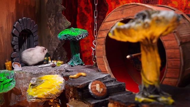 Хомяк против Дракона в лабиринте Dungeons & Dragons