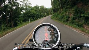 Топ 10 Самых быстрых насекомых на Земле