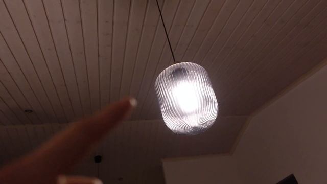 9. Неделя когда болеет Холли собака