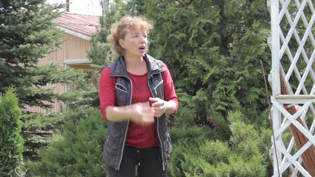 Ива. Посадка, агротехника, хранение. Мастер-класс Оксаны Сахновской