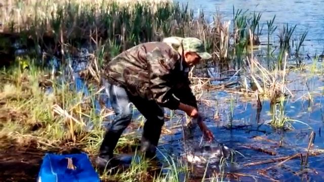 Донная рыбалка на карася ночью смотреть онлайн