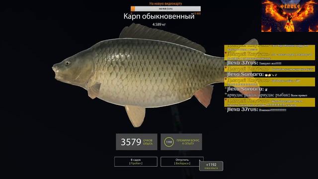 Русская Рыбалка 4 Стрим молча, ДР у жены удался..... смотреть онлайн