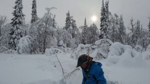 Снегоходы Бедярыш