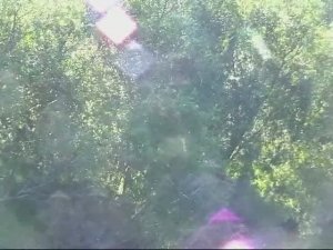 Приключения на Приполярном Урале ... или Лемва 2010