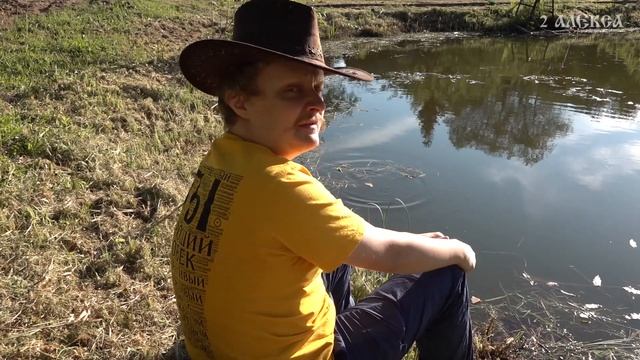 Максим Constантин "Овёс и Расторопша" смотреть онлайн