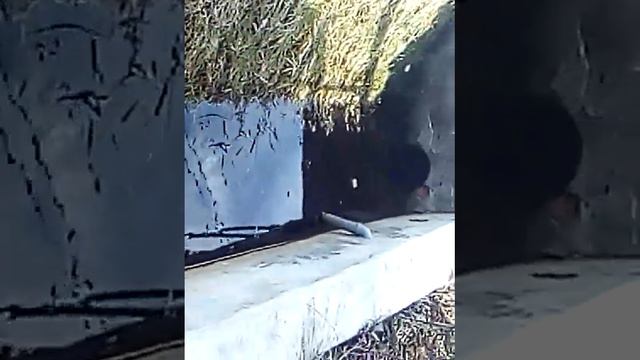 Красоты моей дачи смотреть онлайн