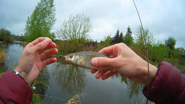 Рыбалки на уральских водоёмах за два года. В основном река Исеть Много разной рыбы:  окуни, судаки..