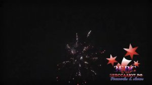 Батарея салютов "Особое мнение"