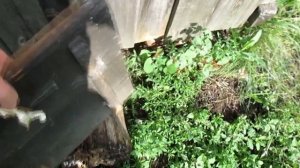 Одна из самых дорогих икон конца 18 начало 19 века.