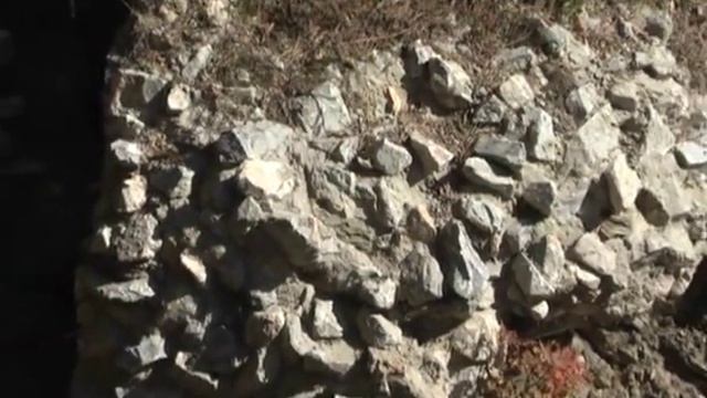 Караканский бор Ордынский район НСО