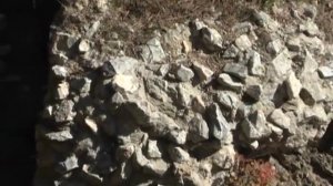 Караканский бор Ордынский район НСО