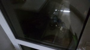 Готовим горячую еду без электричества и газа