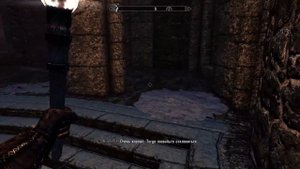 Skyrim: ТЕМНЫЙ СЛЕДОПЫТ - самый эффективный способ начать игру