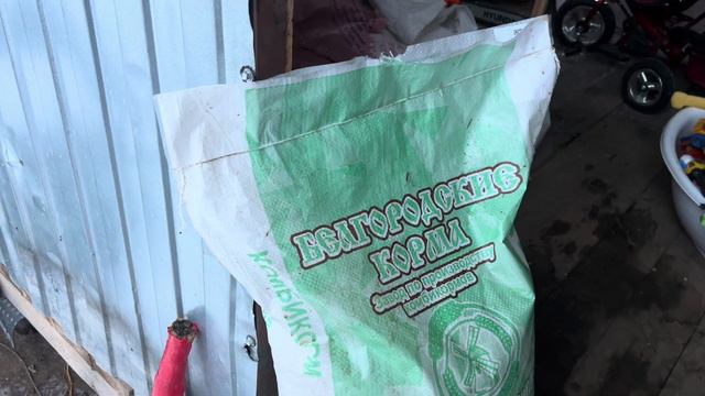 Чем я кормлю индоуток. Меняю подстилку. Обзор мускусных уток смотреть онлайн