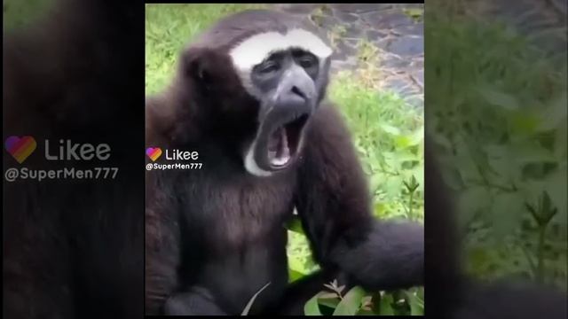 больно