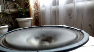 Ход диффузора советского динамика