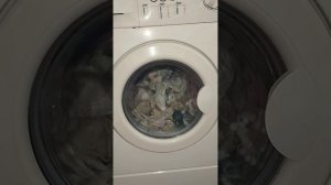 Siltal washing machine - Main wash